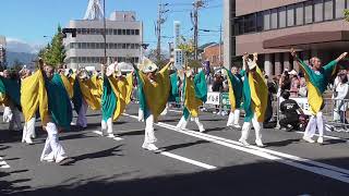 わいわい踊ろう会 2019安濃津よさこい祭り「大パレード」