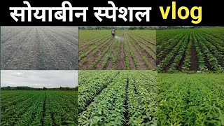 माझ्या शेतातील संपूर्ण नियोजन | लागवड पासून ते 40 दिवस पर्यंत. MAUS-725 🌱