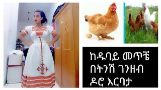 ዶሮ እርባታ እቤት ዉስጥ ማየት ማመን ነዉ😃