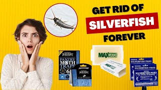 Best Silverfish Traps - Protect Your Belongings From Silverfish Damage