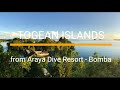 Diving Togean Islands - Bomba from Araya dive resort