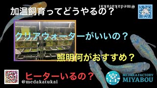 宮坊質問コーナーVol.4〜加温飼育の方法〜