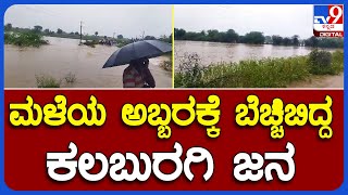 Rain Effect: ಕಲಬುರಗಿ ಜಿಲ್ಲೆಯ ಹಲವೆಡೆ ಮಳೆಯ ಆರ್ಭಟ.. ಜನಜೀವನ ಸಂಪೂರ್ಣ ಅಸ್ತವ್ಯಸ್ತ  | #TV9B