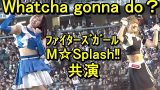 「M☆Splash‼︎」共演【わちゅごなダンス(Whatcha gonna do？)】YUKAリーダー、ファイターズガール駒野稀子さん2024.5.11