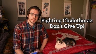 Fighting Chylothorax - Tips and How To - Best RUTIN - Don't Give up! - Watch First! - Cats Dogs Pets