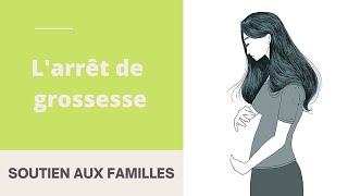 L'arrêt de grossesse ( fausse couche)