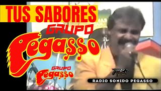 1989 - Grupo Pegasso - TUS SABORES - Juan Antonio - en Sabinas