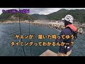 もしエギンガーがヤエンを始めたら