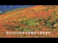 【クラブツーリズム】紅葉ハイキング登山