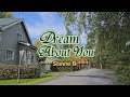 Dream About You - KARAOKE VERSION - as popularized by Stevie B