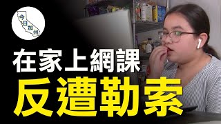 網課系統遭勒索攻擊 6000名學生靠電郵上課