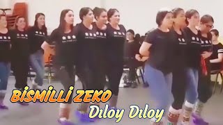 Bismilli Zeko - Dıloy Dıloy-Hareketli Govend Halaylar