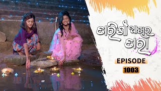 Tarini Akhira Tara | Full Ep 1003 | 20th Apr 2021 | Odia Serial – TarangTV