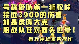 梦幻西游：伤害将近3900野队第一狮驼岭！三输出虎阵大克服战队！