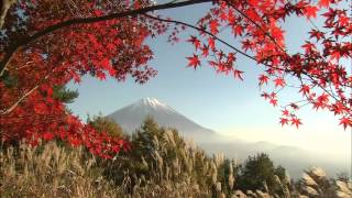 （山梨県公式映像）富士山世界遺産構成資産巡り 富士山の四季編