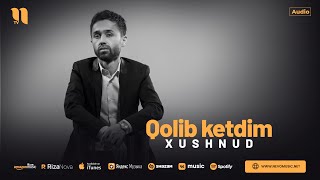 Xushnud - Qolib ketdim (audio 2024)