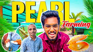 Pearl Farming A-Z 😱🐚at Home | मोती की खेती कैसे करें | ₹10,00,000🔥| Agrotill | Farming Business💰