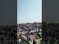 tamilnadu traditional aralipparai manjuvirrattu jallikattu manjuvirattu vadam devar tamilnadu thala