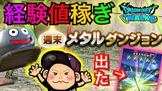 【DQウォーク】週末メタルダンジョン！経験値稼ぎはコレ！？【メタルスライム】