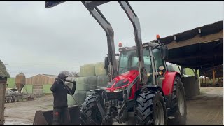 🇨🇵 Un Hiver à la Ferme 2025/ Ration, paillage, lisier, fumier ...