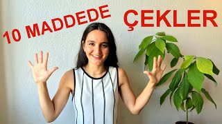 ÇEK CUMHURİYETİ İNSANLARI 🇨🇿 Çekler Nasıl İnsanlar❓10 MADDE İLE ÇEKYA İNSANLARI