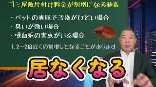 【印象に残ったゴミ屋敷2024】猫の亡骸が八体も出たゴミ屋敷のお片付け現場！ノミも跳びまくり臭いも強烈な大規模猫屋敷のお片付け現場レポートです