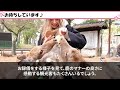 【海外の反応】「鹿が中国人だけ襲ってる？」奈良公園で中国人のマナーが最悪！鹿たちが中国人にだけ攻撃する衝撃に理由とは…