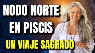 🌀 Un VIAJE SAGRADO ✨: Nodo Norte en Piscis 🌊🌌 . Enero 2025 - Julio 2026