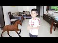 15 animal walk exercises for kids funny animal walks for kids pe exercises for kids