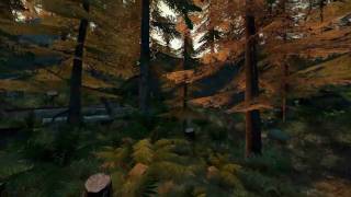 De_Forest a Counterstrike Source map by Robert Briscoe (HD)