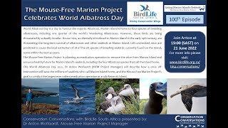 Conservation Conversations: The Mouse-Free Marion Project Celebrates World Albatross Day (21Jun22)