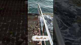 رسونا على ضفاف البحر الادرياتيكي بسلام 1