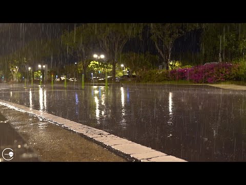 비오는 길 불면증과 수면을 위한 최고의 빗소리 ASMR 휴식의 폭우 백색소음