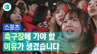 A매치 두 경기 연속 매진! 축구가 이렇게 재미있습니다/비디오머그