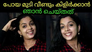 സഹിക്കാൻ പറ്റാത്ത മുടി കൊഴിച്ചിൽ മാറ്റാനും പോയതിൽ കൂടുതൽ മുടി കിളിർക്കാനും ഇങ്ങനെ മാത്രം ചെയ്യു