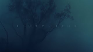 leadwave - moments
