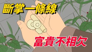 民間俗語：「斷掌一條線，富貴不相欠」，什麽意思？你是斷掌嗎？【知雅說】#国学#俗语#手相#断掌