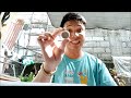 3 ways to sell your apolinario mabini commemorative coins and other commemorative coins too