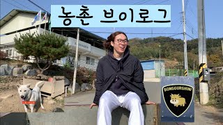 [시골vlog] 농촌 브이로그 / Korean Rural Life / 봉구르기니 시승 / 토종견 시골 자브르종 /