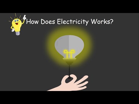 How much of the electricity a light bulb uses is transformed into light?