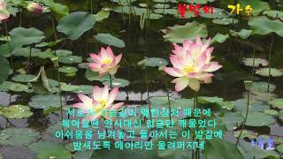 임의 목소리 - 배호  .천상의 목소리