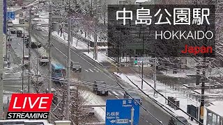 2024.12.31_3【LIVE】道路状況・中島公園駅周辺 札幌市中央区南８条西４丁目