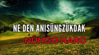 NE DEN ANISUNGZUKDAK ~ NUNGO NARO | Ao love song | Lyrics Video