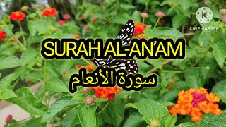 SURAH Araf|| SURAH anam||islamicreflection92##surahalaraf