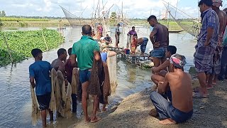 কেনেলে ঝাকি জাল দিয়ে মাছ ধরার সুন্দর এক মুহূর্ত।