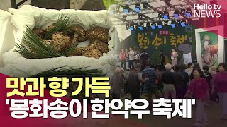 가을의 맛과 향 가득한 '봉화 송이 한약우 축제'ㅣ#헬로tv뉴스