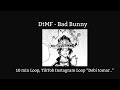 dtmf bad bunny 10 min loop tikt@k instagram