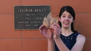 Math Trail 211