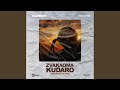 Zvakaoma Kudaro (feat. Lester)