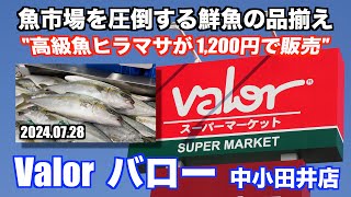 【Valor バロー 高級魚ヒラマサが1,200円で販売 魚市場を圧倒する鮮魚の品揃え】あばお 海鮮ちゃんねる #261 2024.07.28